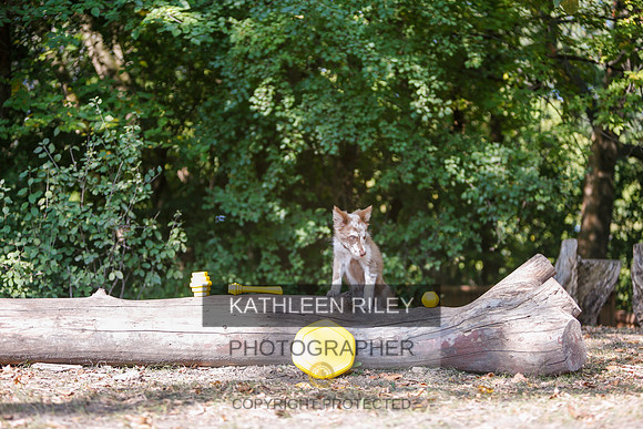 2022-KathleenRileyPhotography-8543
