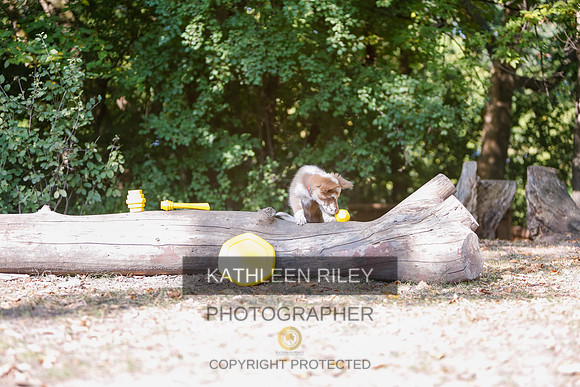 2022-KathleenRileyPhotography-8545