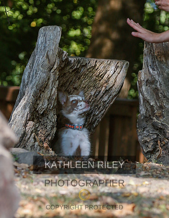 2022-KathleenRileyPhotography-8567