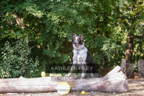 2022-KathleenRileyPhotography-8576