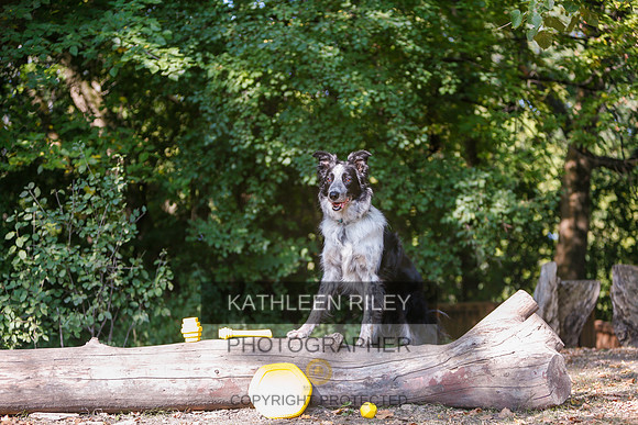2022-KathleenRileyPhotography-8577