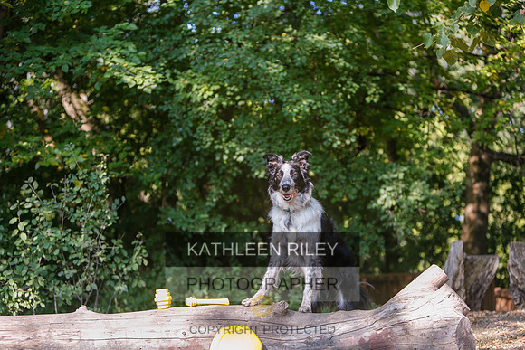 2022-KathleenRileyPhotography-8580