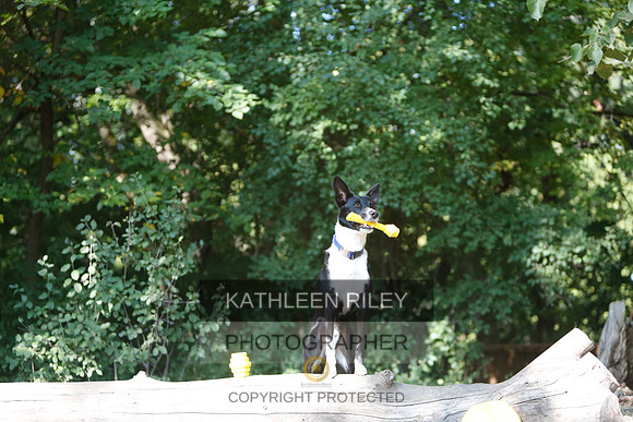 2022-KathleenRileyPhotography-8598
