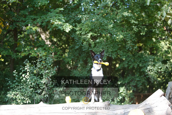 2022-KathleenRileyPhotography-8603