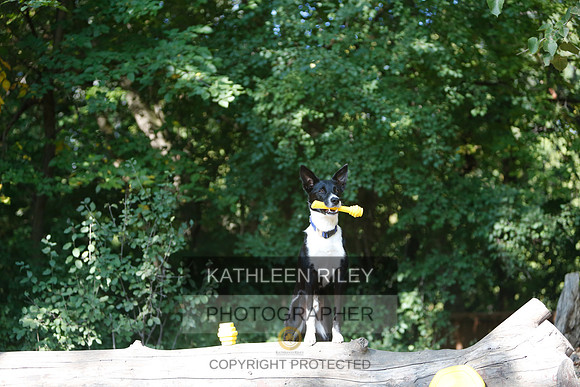 2022-KathleenRileyPhotography-8604