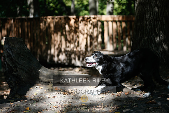 2022-KathleenRileyPhotography-8631