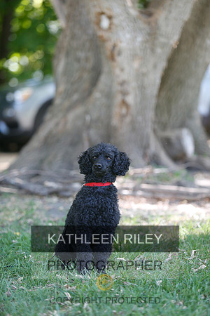 2022-KathleenRileyPhotography-8725