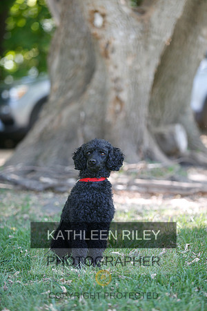 2022-KathleenRileyPhotography-8728