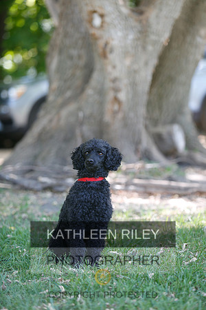 2022-KathleenRileyPhotography-8729
