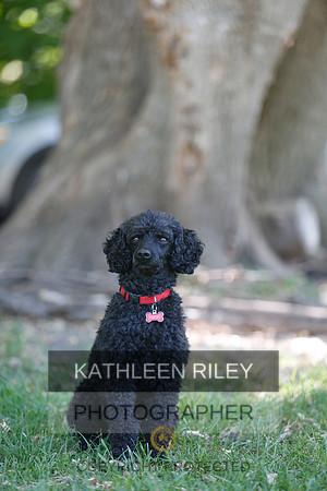 2022-KathleenRileyPhotography-8731