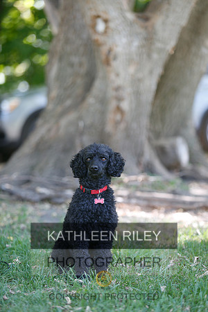 2022-KathleenRileyPhotography-8732