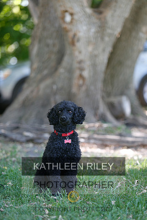 2022-KathleenRileyPhotography-8737