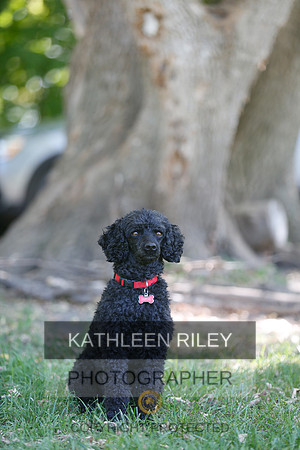 2022-KathleenRileyPhotography-8738
