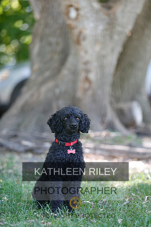 2022-KathleenRileyPhotography-8740