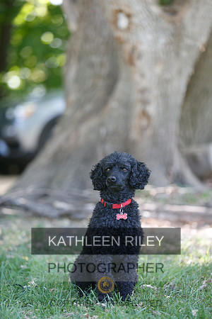 2022-KathleenRileyPhotography-8741