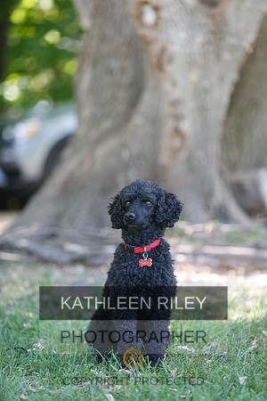 2022-KathleenRileyPhotography-8742