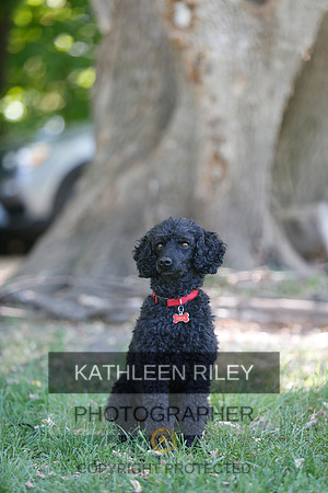 2022-KathleenRileyPhotography-8743