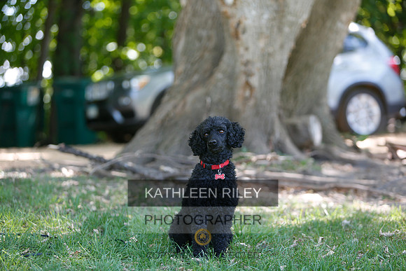 2022-KathleenRileyPhotography-8745