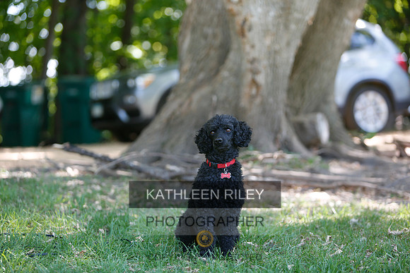 2022-KathleenRileyPhotography-8748