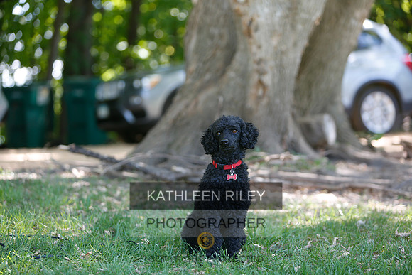 2022-KathleenRileyPhotography-8749
