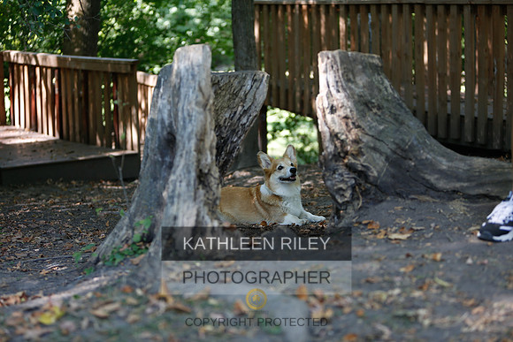 2022-KathleenRileyPhotography-8762
