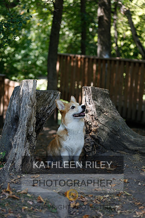2022-KathleenRileyPhotography-8771