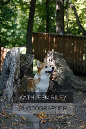 2022-KathleenRileyPhotography-8776
