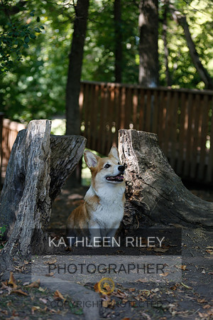 2022-KathleenRileyPhotography-8778