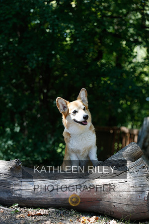 2022-KathleenRileyPhotography-8793