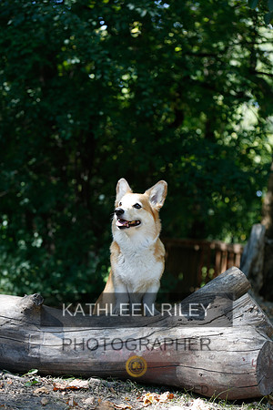 2022-KathleenRileyPhotography-8797