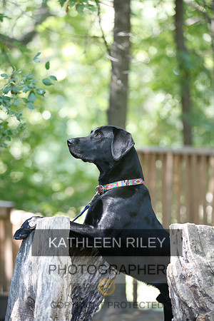 2022-KathleenRileyPhotography-8807