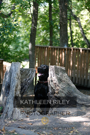 2022-KathleenRileyPhotography-8813