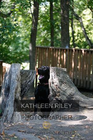 2022-KathleenRileyPhotography-8814