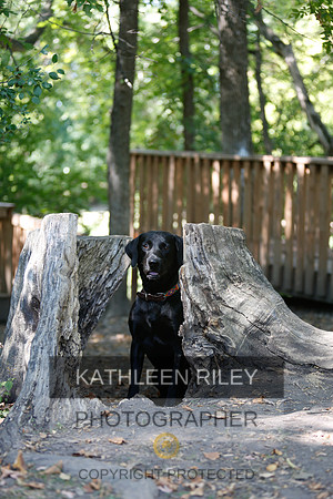2022-KathleenRileyPhotography-8819
