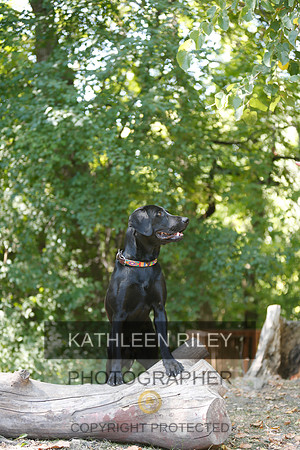 2022-KathleenRileyPhotography-8823