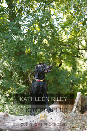 2022-KathleenRileyPhotography-8825
