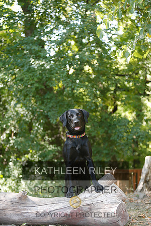 2022-KathleenRileyPhotography-8830