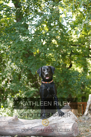 2022-KathleenRileyPhotography-8832