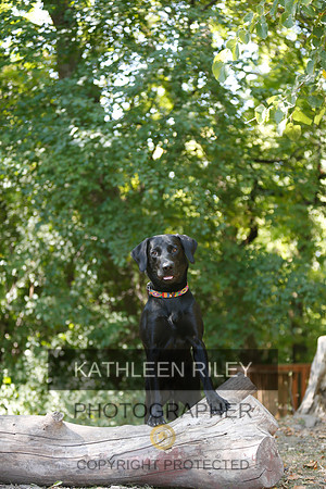2022-KathleenRileyPhotography-8833