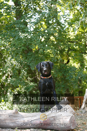2022-KathleenRileyPhotography-8834