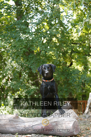 2022-KathleenRileyPhotography-8835