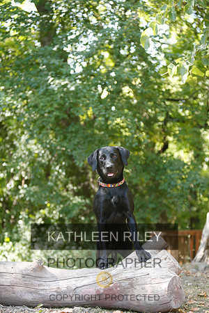 2022-KathleenRileyPhotography-8836