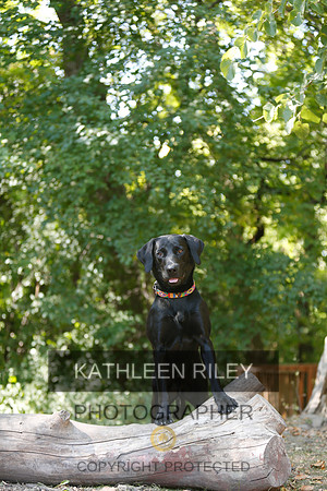 2022-KathleenRileyPhotography-8838