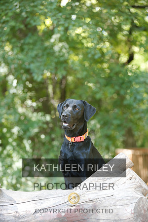2022-KathleenRileyPhotography-8842