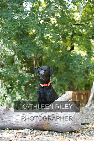 2022-KathleenRileyPhotography-8847