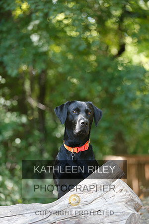 2022-KathleenRileyPhotography-8856