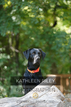 2022-KathleenRileyPhotography-8857
