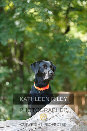 2022-KathleenRileyPhotography-8859