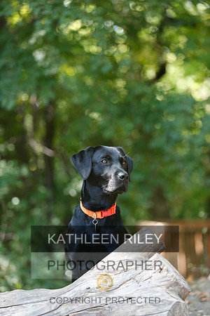 2022-KathleenRileyPhotography-8860