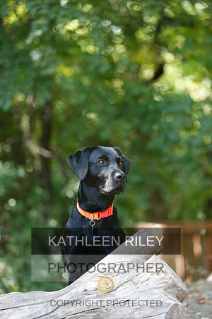 2022-KathleenRileyPhotography-8861